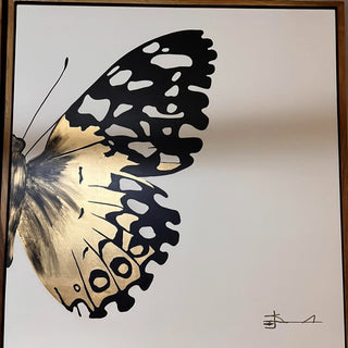 Cuadro Mariposa Dorada