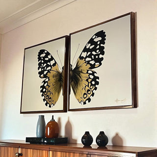 Cuadro Mariposa Dorada