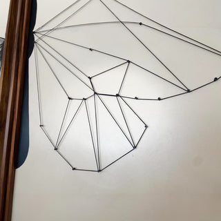 Cuadro Metamorfosis Set de 2