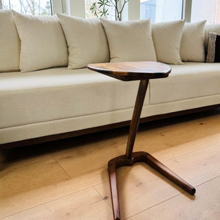 Mesa de Servicio Orit Parota